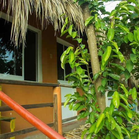 Posada La Huerta Mazunte Extérieur photo